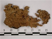 厚兜衣藏品圖，第1張