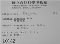 厚兜衣藏品圖，第2張