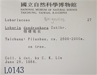 樹棲兜衣藏品圖，第2張