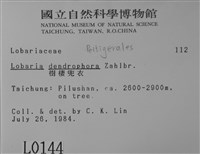 樹棲兜衣藏品圖，第2張