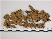 擬文字變色兜衣藏品圖，第1張