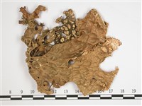 環磷酸兜衣藏品圖，第1張