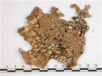 環磷酸兜衣藏品圖，第3張