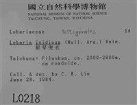 針芽兜衣藏品圖，第2張