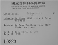 針芽兜衣藏品圖，第2張