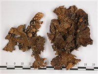 黑川氏兜衣藏品圖，第1張