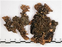 黑川氏兜衣藏品圖，第3張