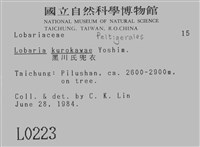黑川氏兜衣藏品圖，第2張