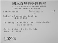 黑川氏兜衣藏品圖，第2張