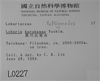 黑川氏兜衣藏品圖，第2張