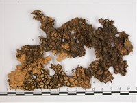 黑川氏兜衣藏品圖，第1張