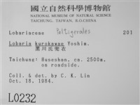 黑川氏兜衣藏品圖，第2張