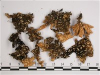 黑川氏兜衣藏品圖，第3張