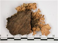 細片兜衣藏品圖，第3張