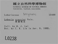 厚兜衣藏品圖，第2張