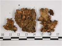 厚兜衣藏品圖，第1張