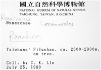 登錄號:L00000256藏品圖，第2張