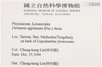 扁平黑囊基衣藏品圖，第2張