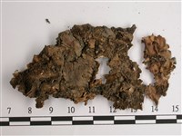 擬文字兜衣藏品圖，第3張