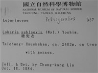 糖兜衣藏品圖，第2張