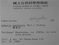 糖兜衣藏品圖，第2張