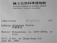 中國兜衣藏品圖，第2張