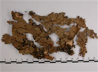 中國兜衣藏品圖，第1張