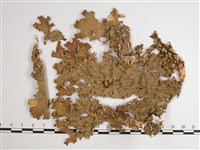 細片兜衣藏品圖，第1張