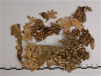 細片兜衣藏品圖，第3張