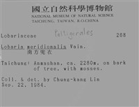 南方兜衣藏品圖，第2張