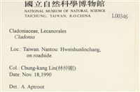 登錄號:L00000346藏品圖，第2張