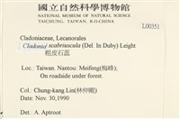 粗皮石蕊藏品圖，第2張