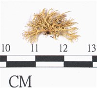 登錄號:L00000366藏品圖，第3張