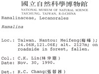 登錄號:L00000389藏品圖，第2張