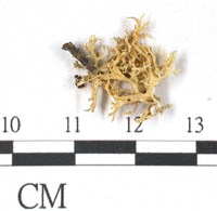 登錄號:L00000389藏品圖，第3張