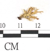 登錄號:L00000391藏品圖，第3張