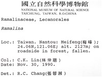 登錄號:L00000393藏品圖，第2張