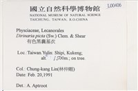 有色黑囊基衣藏品圖，第2張