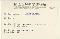 登錄號:L00000407藏品圖，第2張