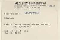 登錄號:L00000449藏品圖，第2張