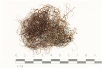 登錄號:L00000453藏品圖，第1張