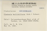 登錄號:L00000474藏品圖，第2張