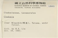 登錄號:L00000493藏品圖，第2張
