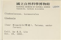 登錄號:L00000494藏品圖，第2張