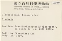 登錄號:L00000499藏品圖，第2張