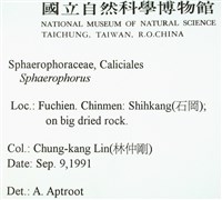 登錄號:L00000503藏品圖，第2張