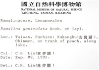 登錄號:L00000504藏品圖，第2張