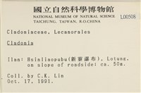 登錄號:L00000508藏品圖，第2張