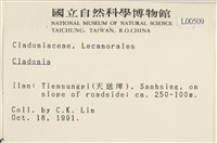 登錄號:L00000509藏品圖，第2張