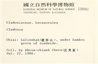 登錄號:L00000563藏品圖，第2張
